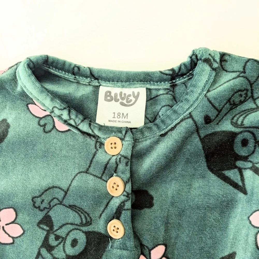 ⚡Toddler Girls' Bluey Velour Dress - Teal Blue